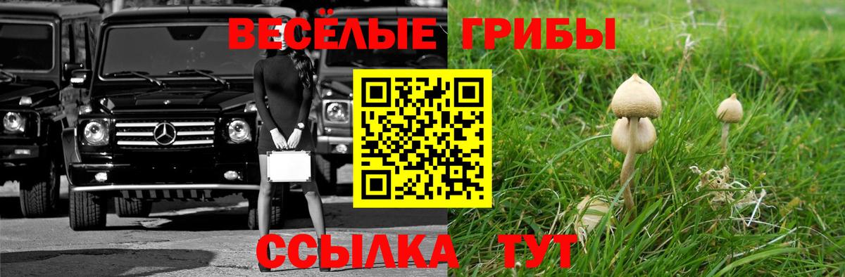 Галлюциногенные грибы мухоморы  купить закладку  Галлюциногенные грибы GOLDEN TEACHER  Алушта  Вход с VPN 