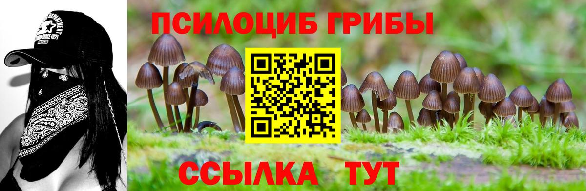 Галлюциногенные грибы Magic Shrooms Алушта